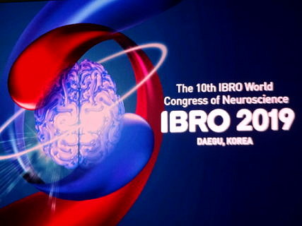 Towards entry "IBRO World Congress of Neuroscience 2019 in Daegu, South Korea"