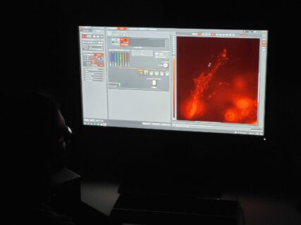 Impressions from the EBM harmonization workshop on Atomic Force Microscopy and Frog Brains (Image: M. Hintze)