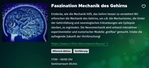 Towards entry "Fascination Brain Mechanics: EBM at #NDW23"