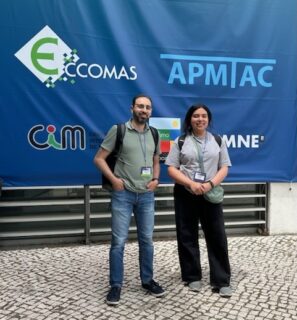 Towards entry "ECCOMAS 2024"